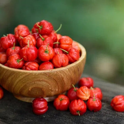 Acerola