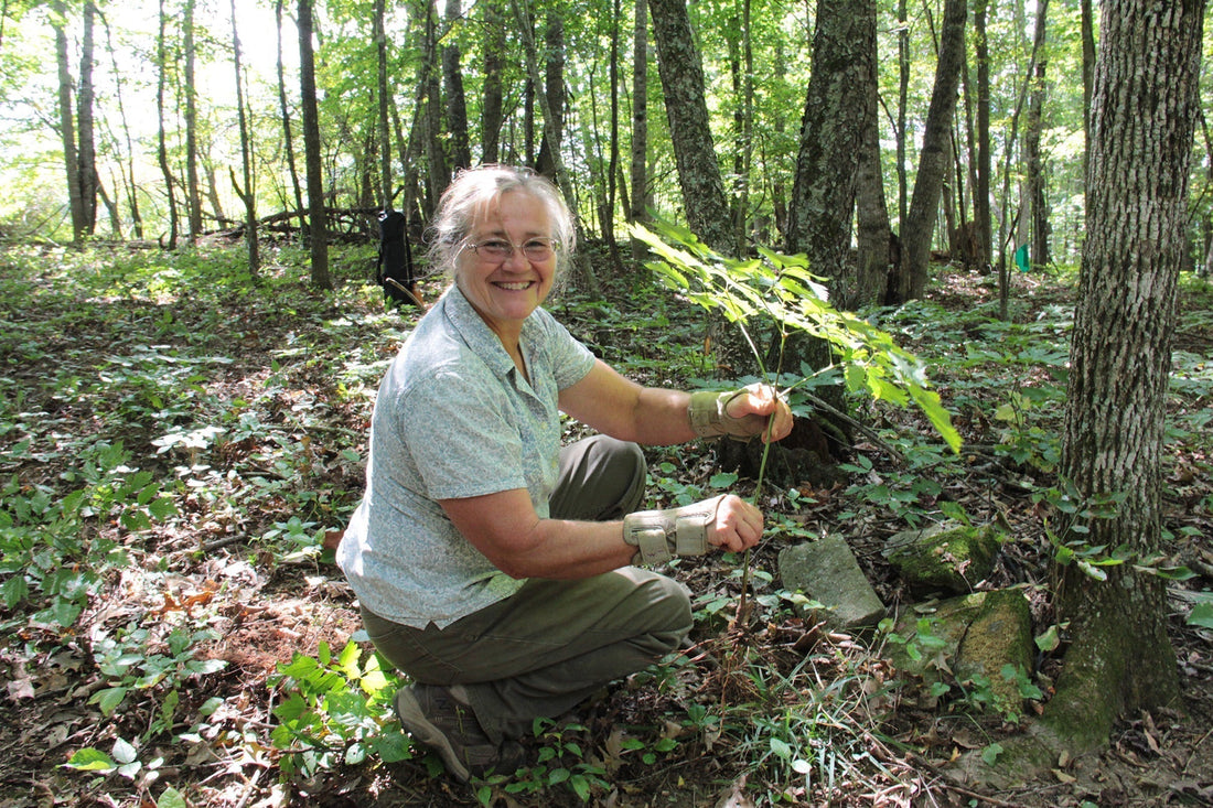 The Women in Ag Behind the Butterflystears Farm